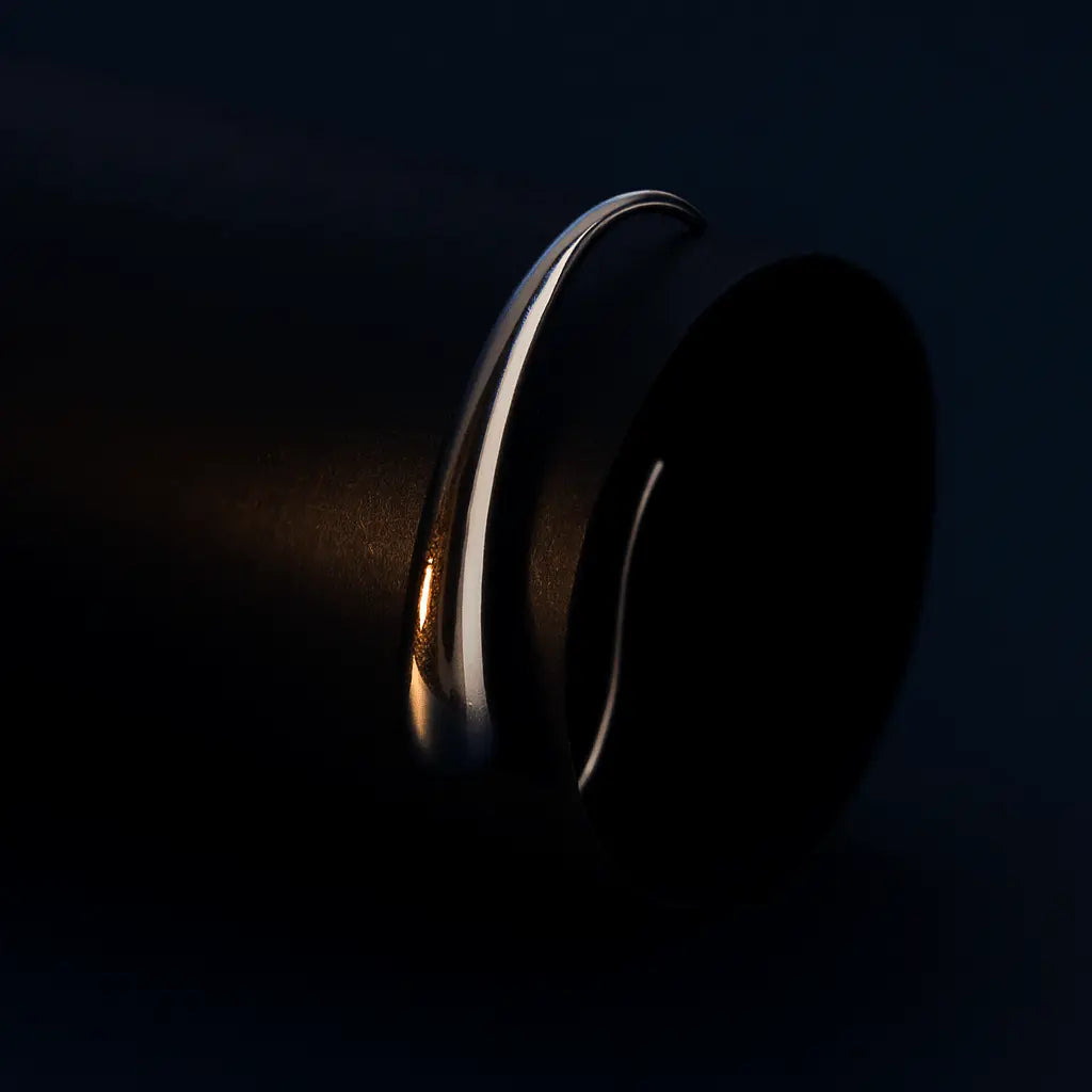 LORISEL SILVER HOOP EARRINGS - LAVISH JEWELS18k PVD GOLD EARRING