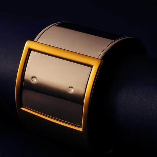 Gold and silver belt buckle on a dark background
